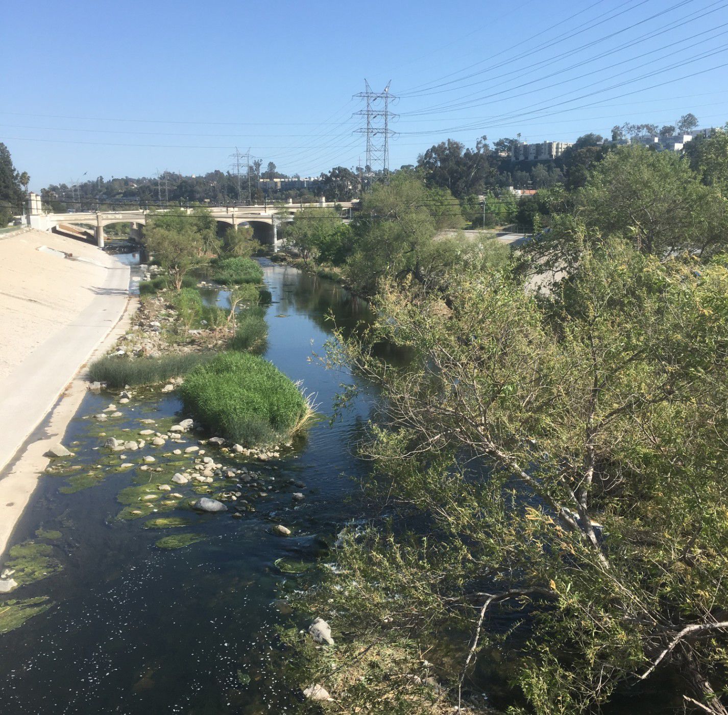 L.A. River view from the Sunnynook Footbridge Bridge